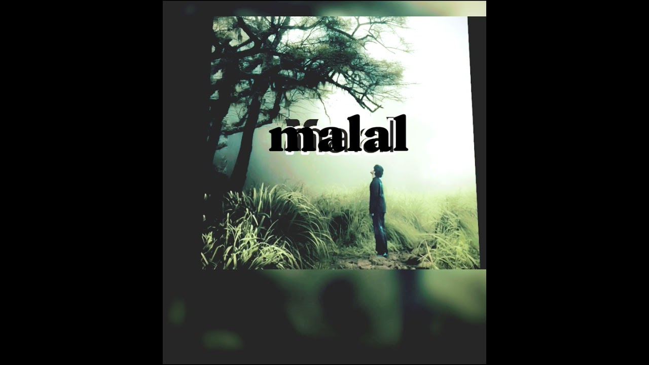 Malal song #love #song#trending  good song 