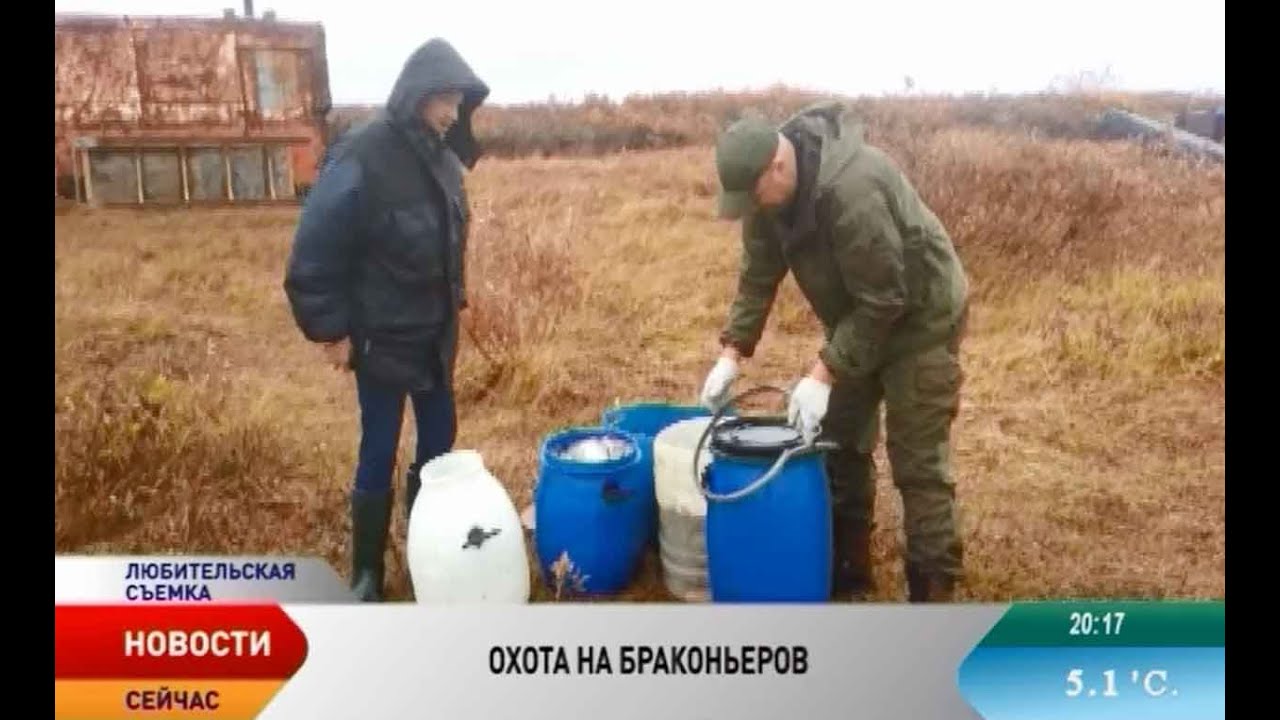 Большой улов. В НАО поймана банда рыбаков-браконьеров из Республики Коми