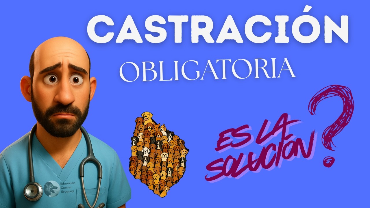 ¿La castración soluciona problemas de conducta? ¿Es buena idea esterilizar a mi perro? 