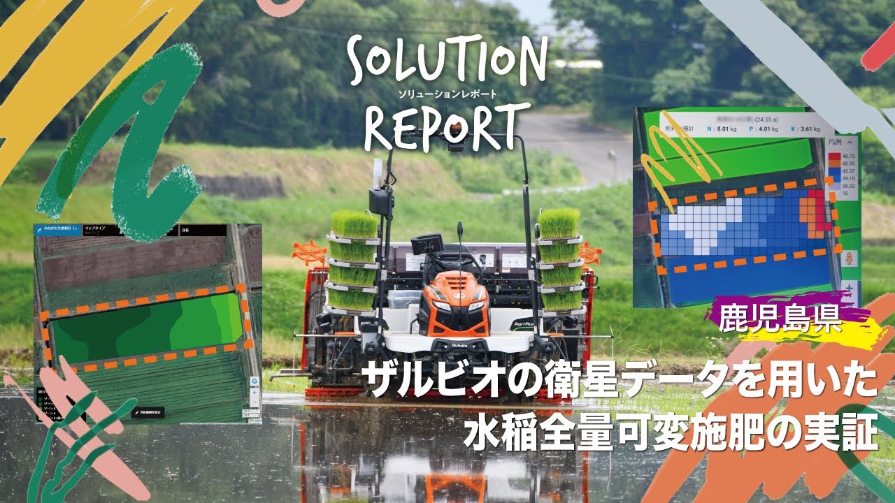 【ソリューションレポート】ザルビオの衛星データを用いた水稲全量可変施肥の実証（鹿児島県 2024/6/11）