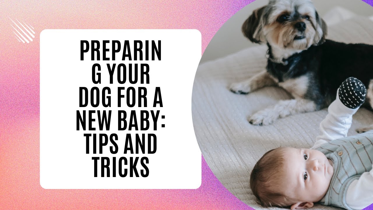 Preparing Your Dog for a New Baby: Tips and Tricks