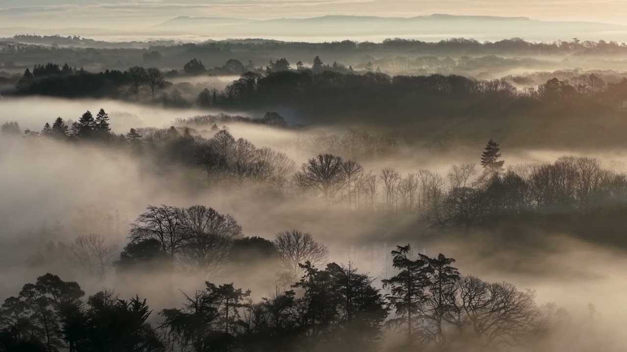 Morning Mist over Burton and Chingford Ponds, Sussex