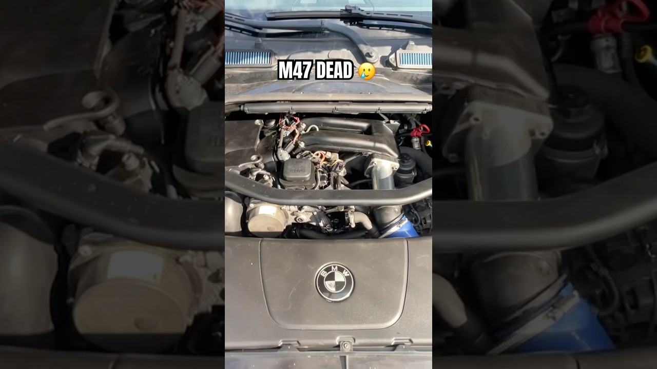 RIP M47 249hp 534nm 🥲 #bmw #m47 #m57 #318d #320d #diesel #mazout #330d #swap #shorts