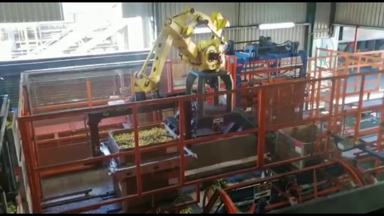 Robotic Fruit Crate Handling