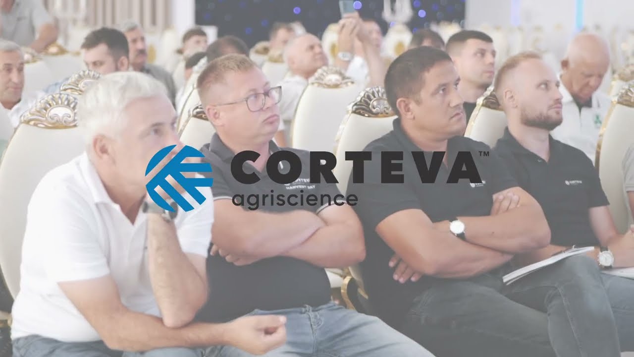 Perioada optimă de semănat pentru rapiță și schema completă de protecție