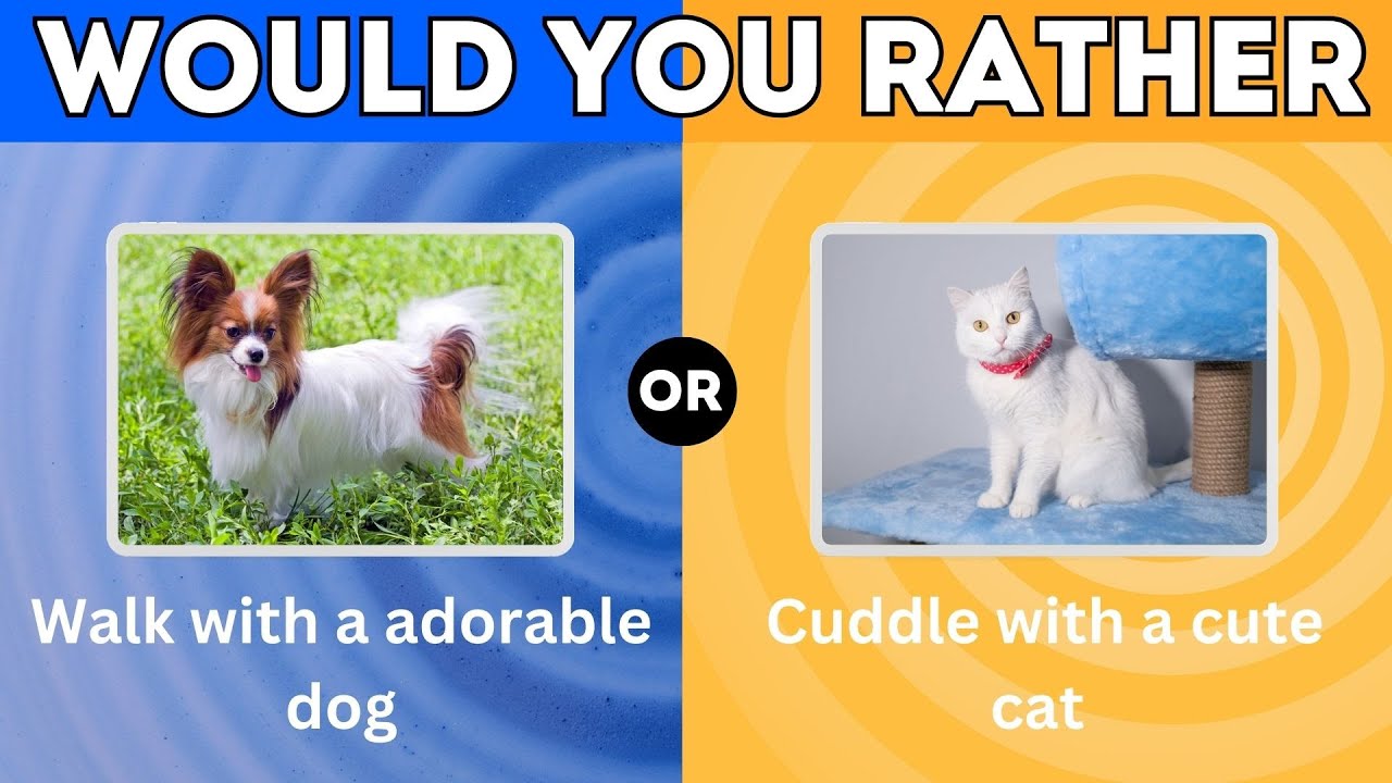 Would You Rather........Animal Edition 🦁🐘🐍|Quiz Hub