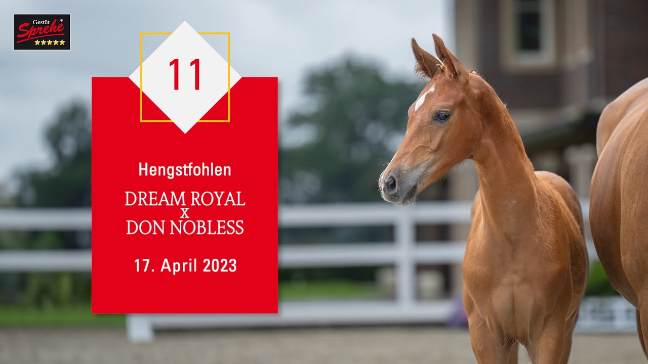 11 Hengst v. Dream Royal - Don Nobless