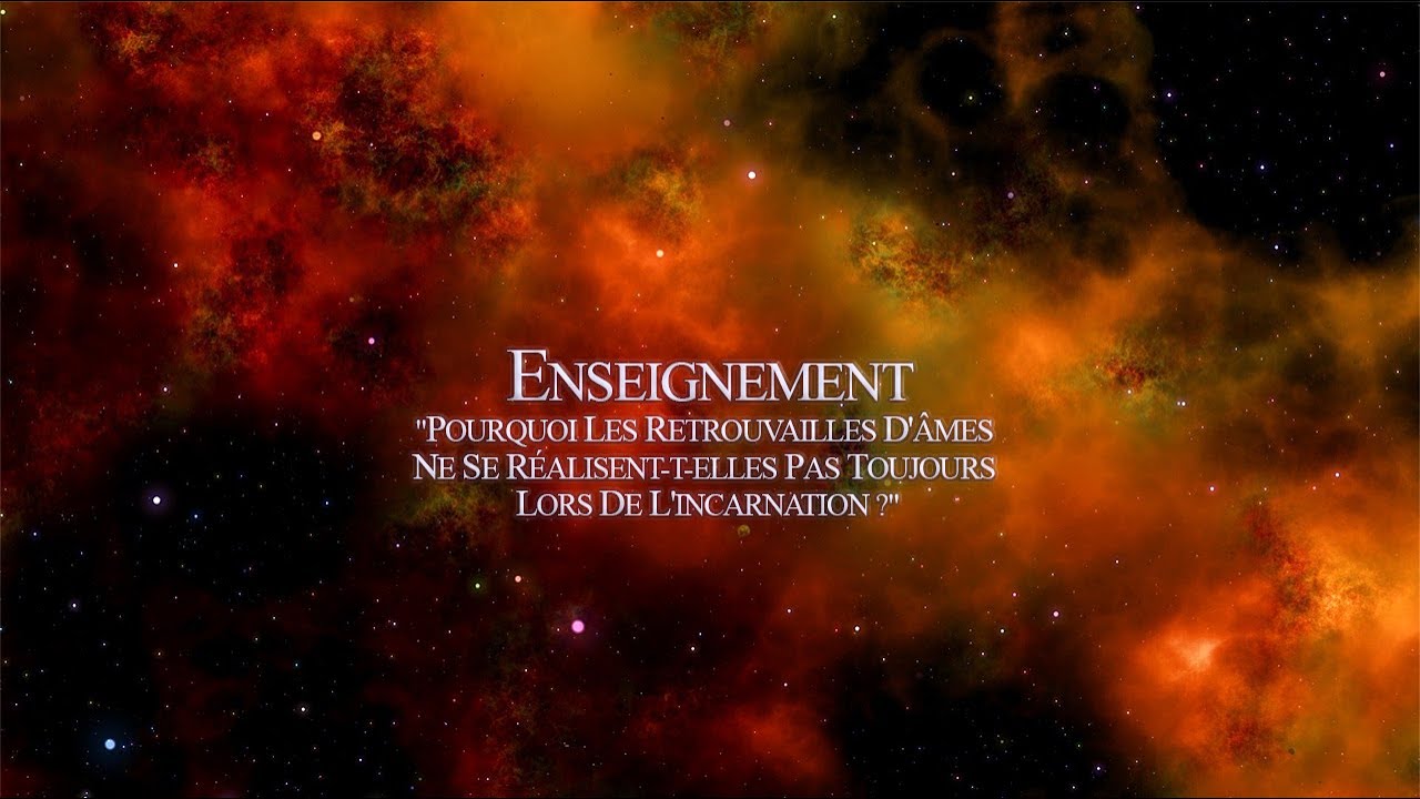Enseignement 
