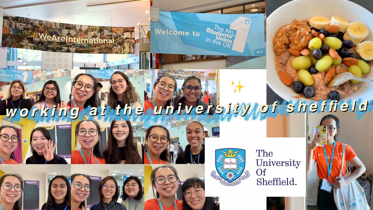 VLOG: working at The University Of Sheffield + meeting you guys (I’m so grateful 😭)