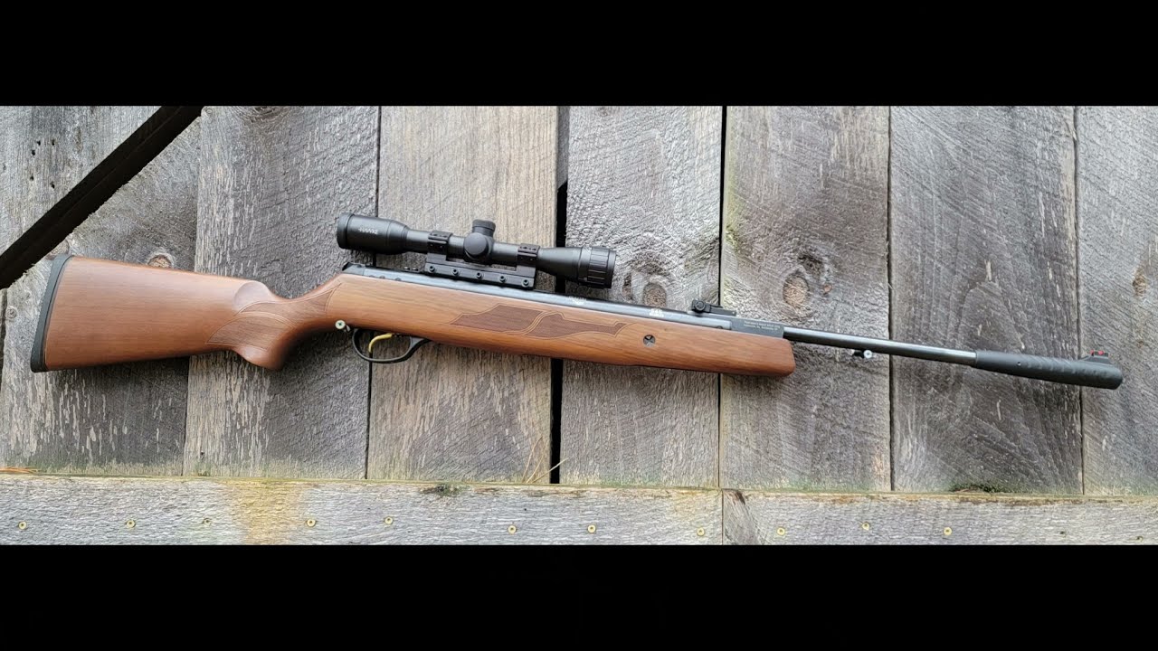 Краткий обзор пневматической винтовки Hatsan Model 95