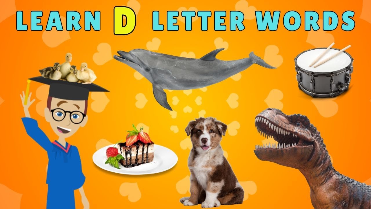 Learning the Alphabet with the Letter D Words! Fun Learning Journey for Kids!