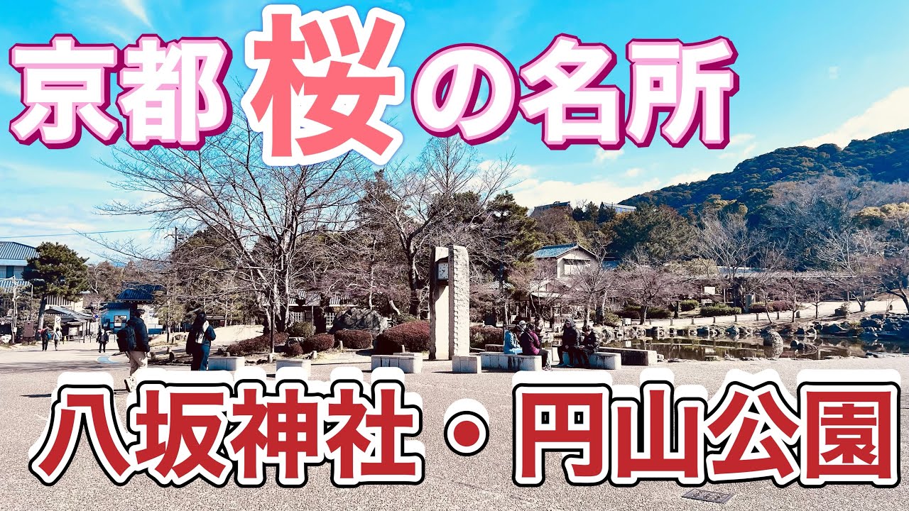 【京都桜名所案内】八坂神社と円山公園、京都が一望できる展望台も紹介します♪