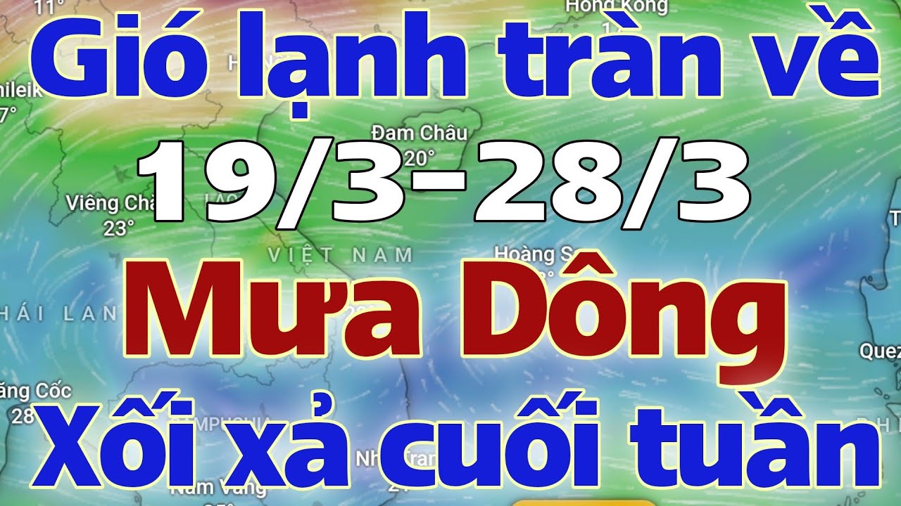 Tin mưa lớn | Dự báo thời tiết hôm nay và ngày mai 20/3/2026 | thời tiết 7 ngày tới | tin bão