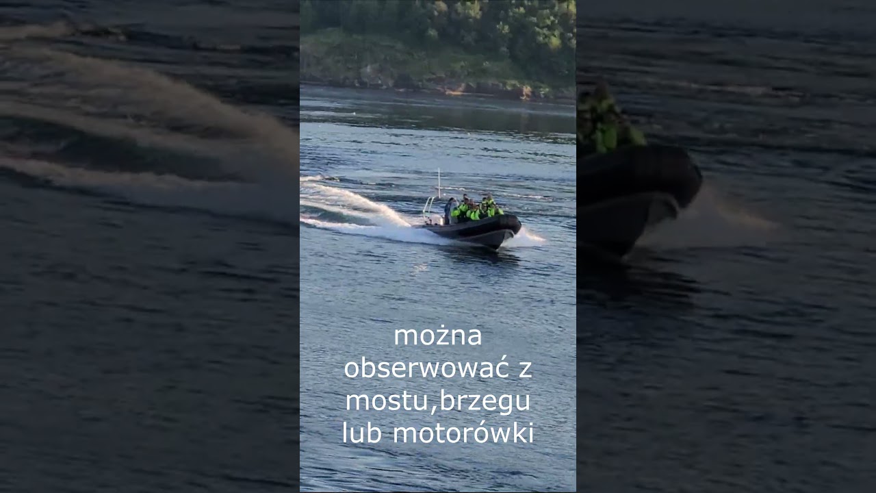Saltstraumen - najsilniejsze wiry na świecie #automobile #kamperen #fiordy#norwegia
