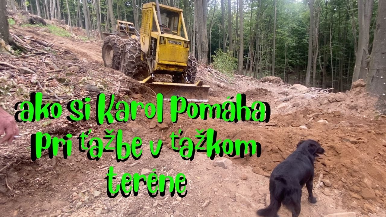 Karol robí cestu po lese | Kalamita v lese, kde neboli robené zásahy | LKT