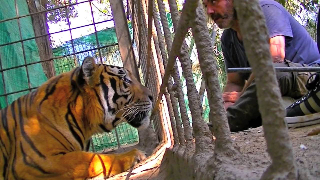 Zoo de Castellar