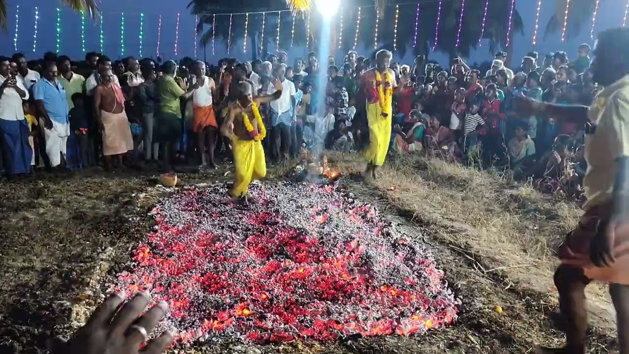 நெட்டூர் ஸ்ரீ பூவரசு முத்துமாரியம்மன் கோவில் சித்திரை திருவிழா-  பூக்குழி இறங்கிய பக்தர்கள் :