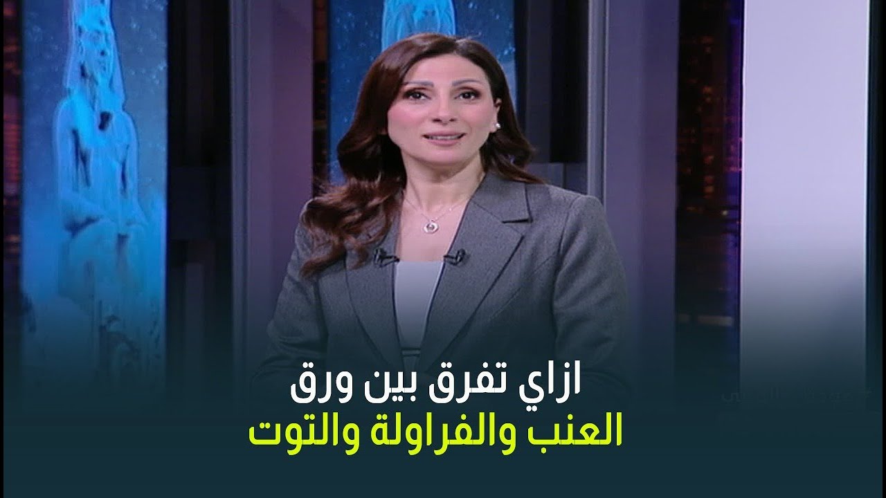 تحذير هام من انتشار ورق الفراولة والتوت في الأسواق بدلًا من ورق العنب اعرف إزاي تفرّق بينهم بسهولة
