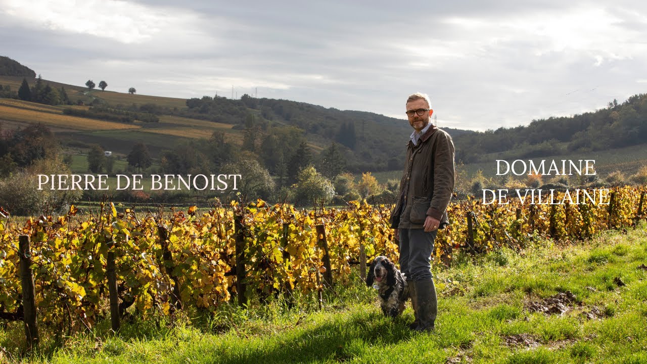 2023 Burgundy - Domaine de Villaine