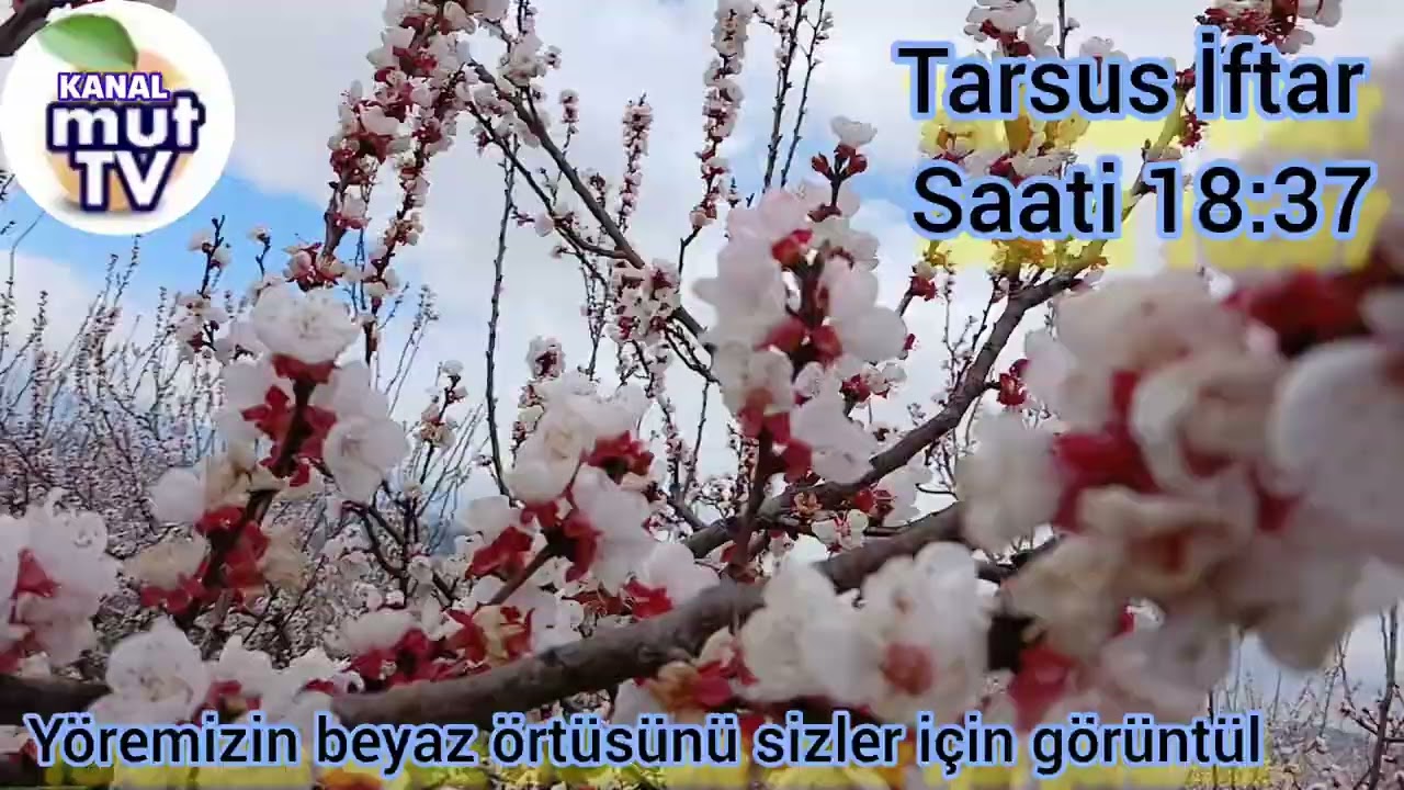 Yöremizin beyaz örtüsü kanal mut ekranlarında