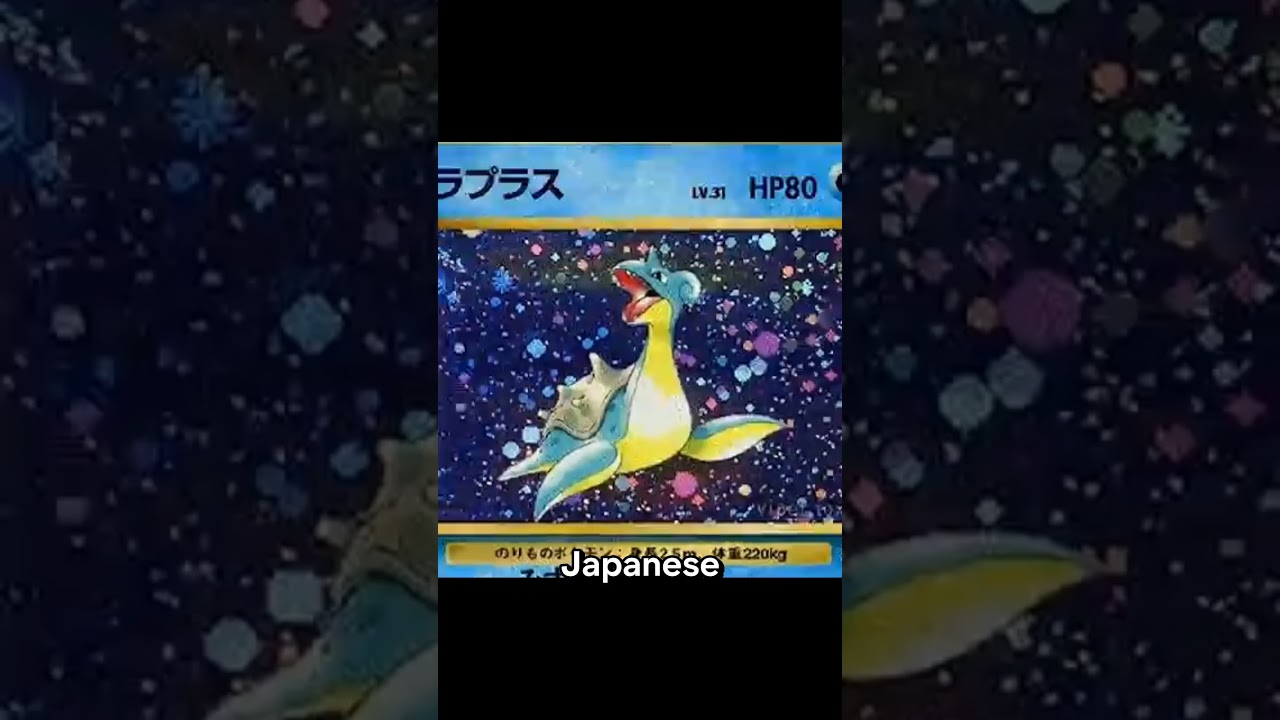 This man brought a vintage Pokemon card binder in a bin