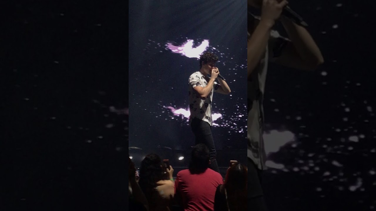 Ruin | Shawn Mendes Illuminate World Tour Singapore 9 Dec 2017