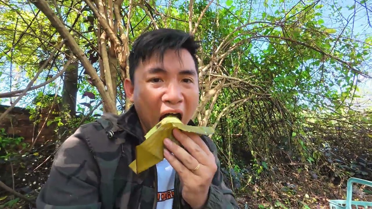 Bắt 2 ổ ong ruồi bầu mật siêu đẹp 