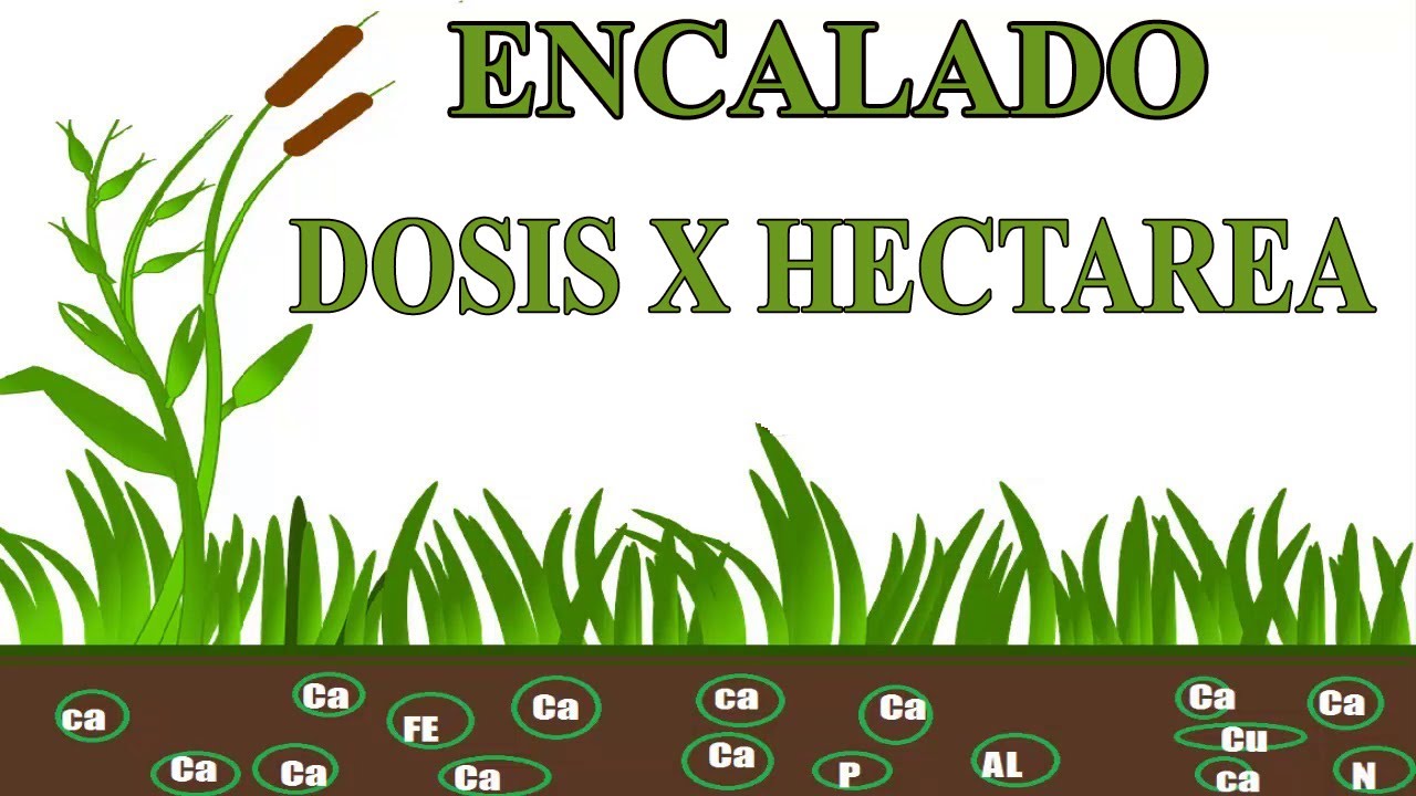 Como corregir la acidez del suelo - calcular dosis de cal en el encalado