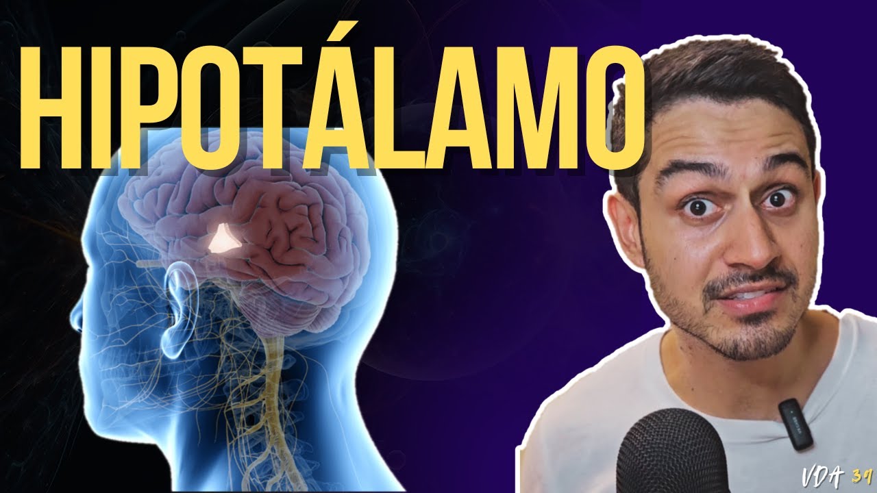Hipotálamo - Vídeo Aula 39