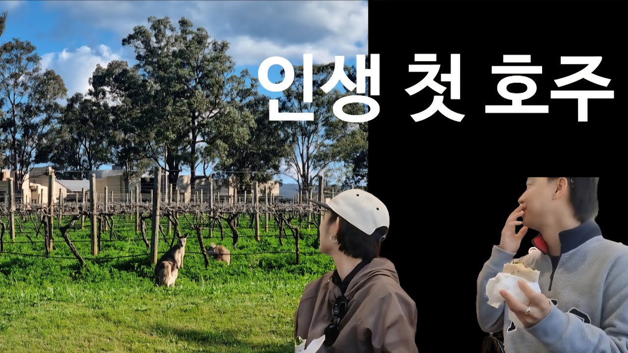 🇦🇺 #1 혼자인 듯 아닌 듯 6박 7일 시드니 여행기 (Sydney Travelog)  