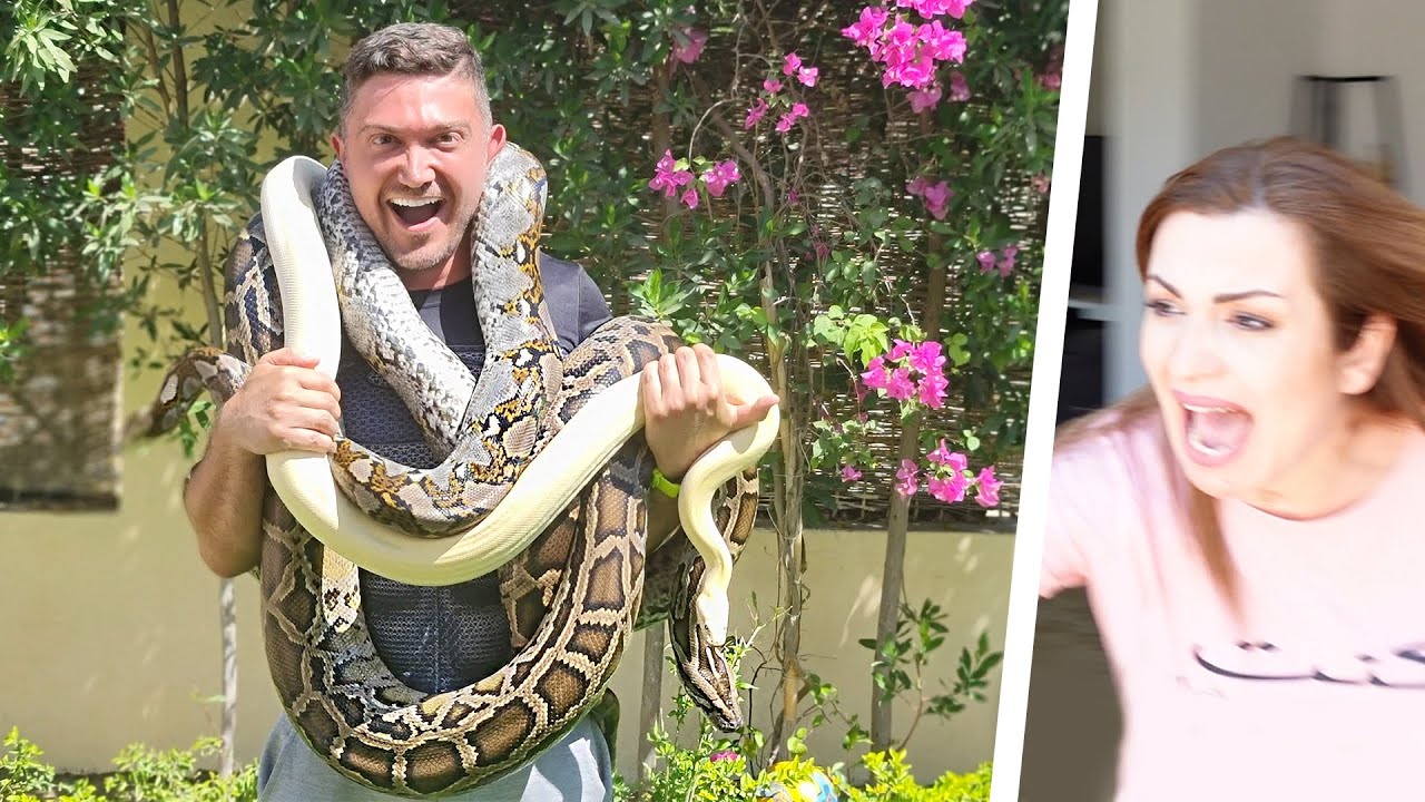 فاجأتهم بأناكوندا 🐍 وحيعيشوا معانا في البيت!!! (لمدّة 3 ايّام)
