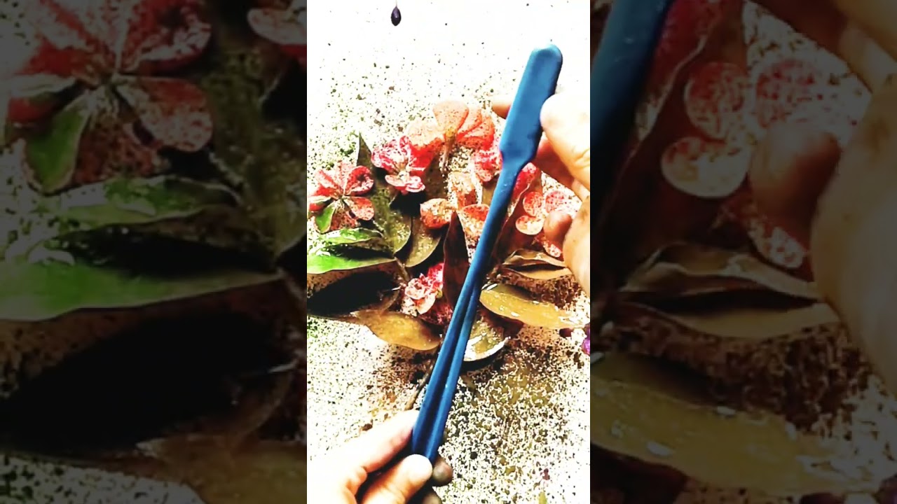 Easy Spay Painting With Toothbrush 😱😍 