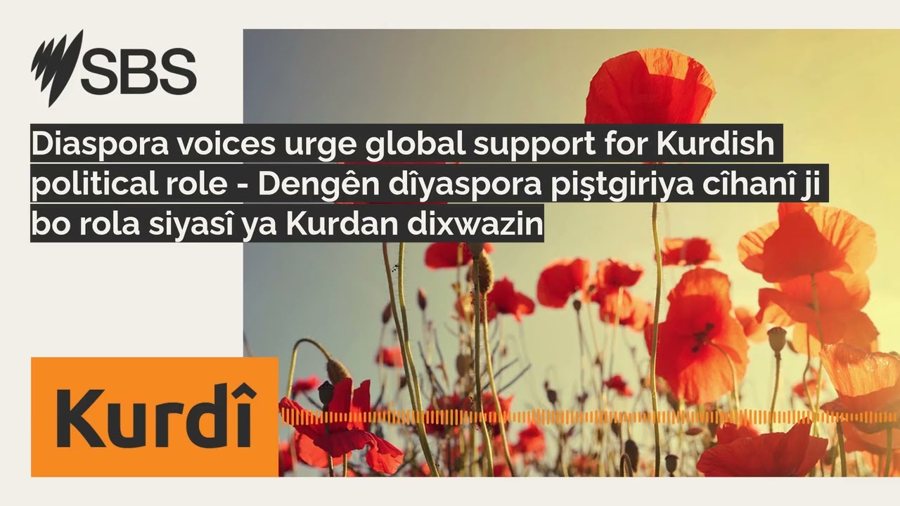 Diaspora voices urge global support for Kurdish political role - Dengên dîyaspora piştgiriya...