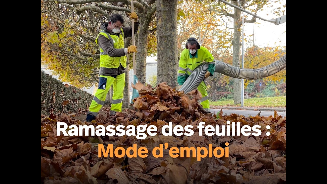 Ramassage des feuilles mortes :  mode d’emploi