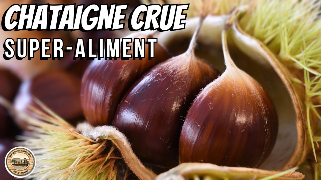 BIENFAITS SANTE DE LA CHATAIGNE CRUE + LA MEILLEURE ASTUCE POUR L'EPLUCHER A FROID #chataignes