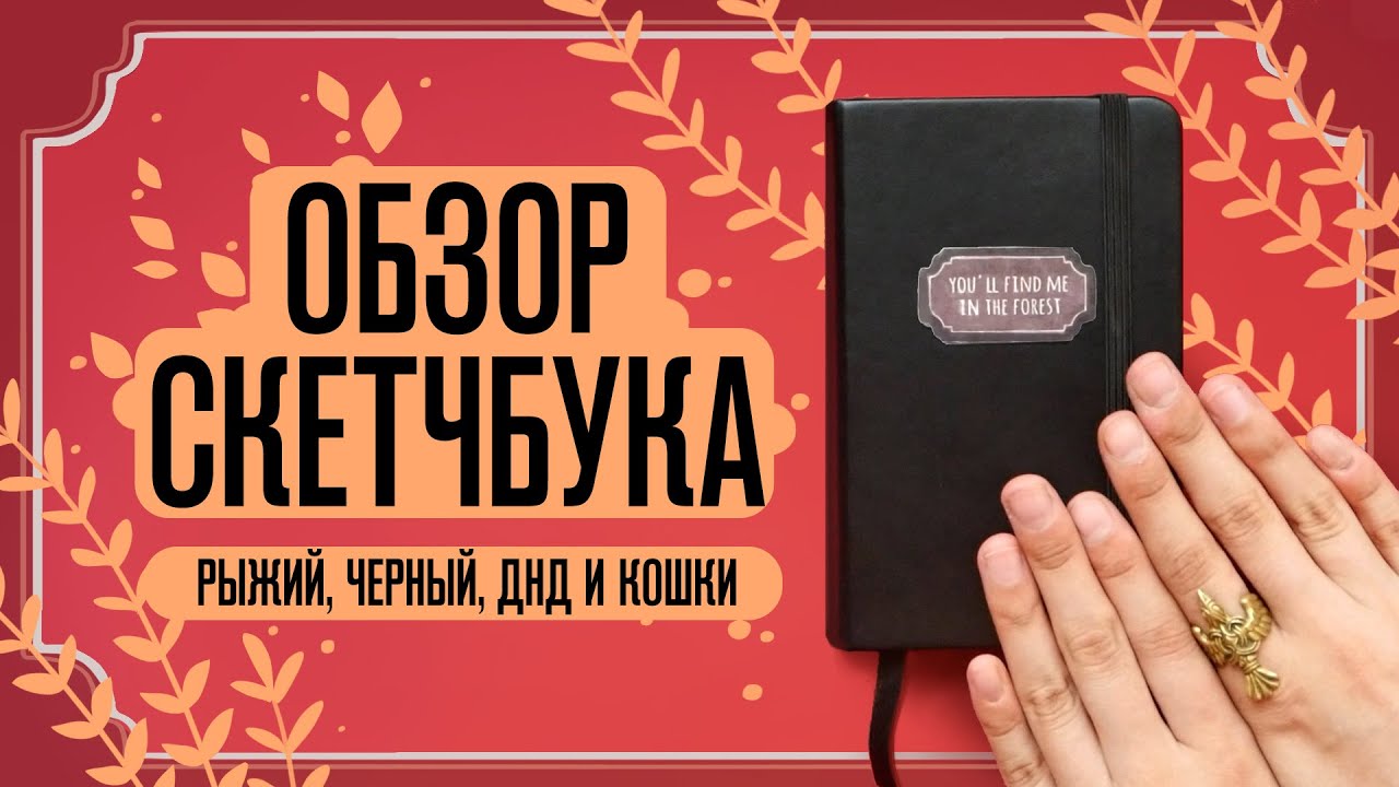 Обзор Скетчбука | Сплошной рыжий, черный, днд и кошки