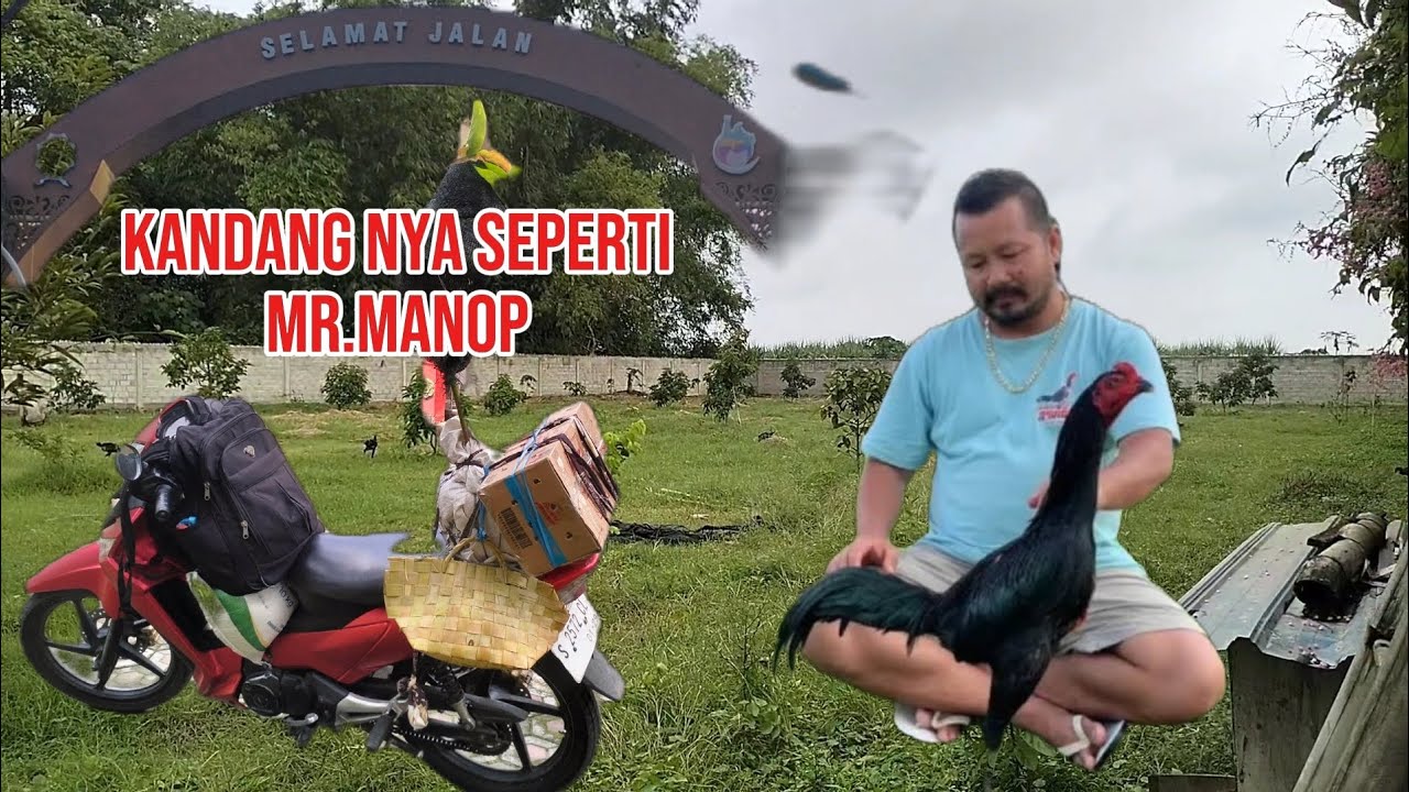 GAK SIA SIA LEWATI 3 KABUPATEN , UNTUK KE KANDANG INI 