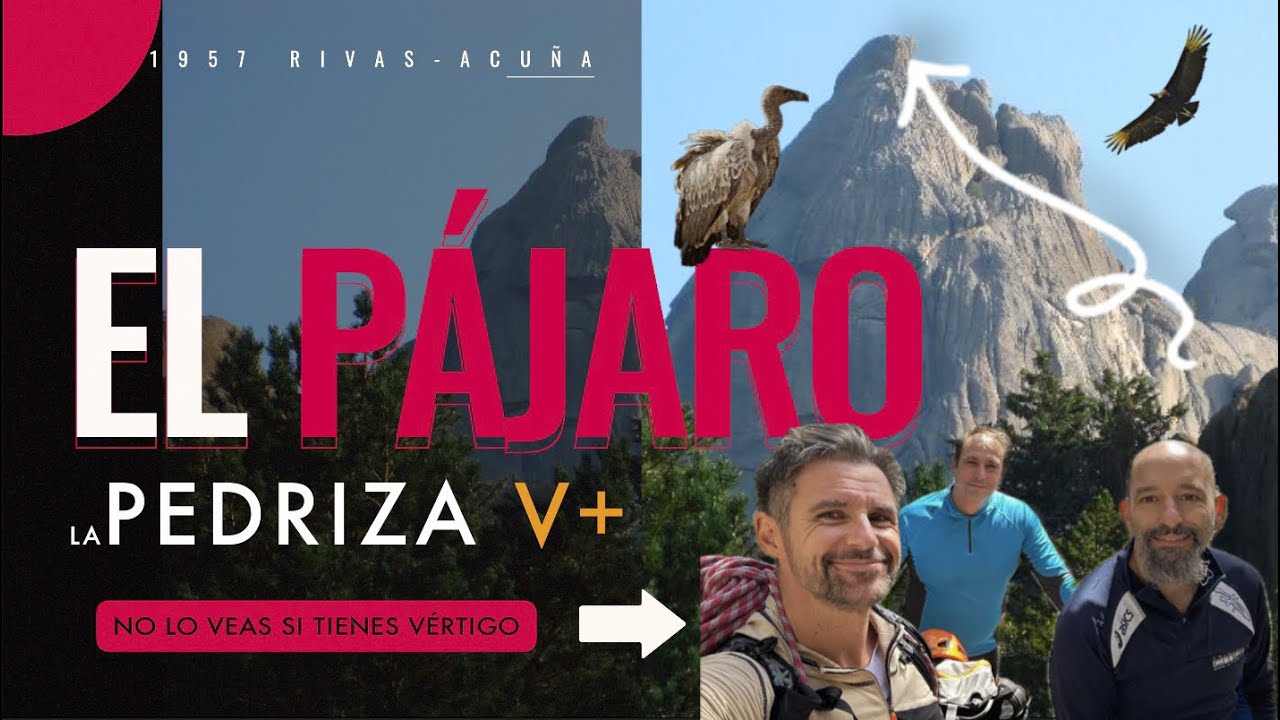 PEDRIZA CLÁSICA: rumbo a la cima del PÁJARO (NO LO VEAS SI TIENES VÉRTIGO!) (4K)