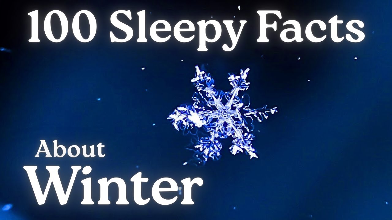 The Most Relaxing Facts About Winter To Fall Asleep To