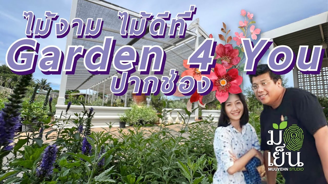Dobre drewno, piękne drewno w Garden 4U Pak Chong | Chłodne ręce, podaj lokalizację