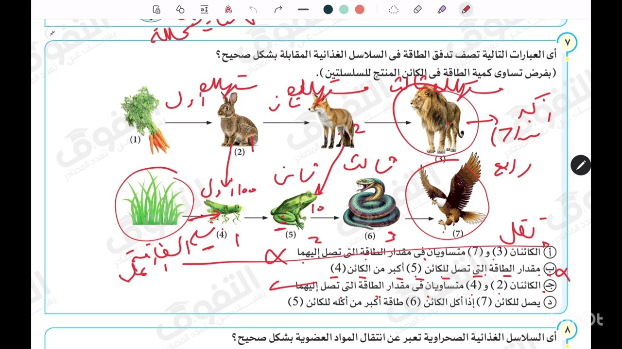 حل كتاب التفوق علوم متكامله - انتقال الطاقة في النظام البيئي- الاختيار من 1 : 34 - الترم الثاني 2025