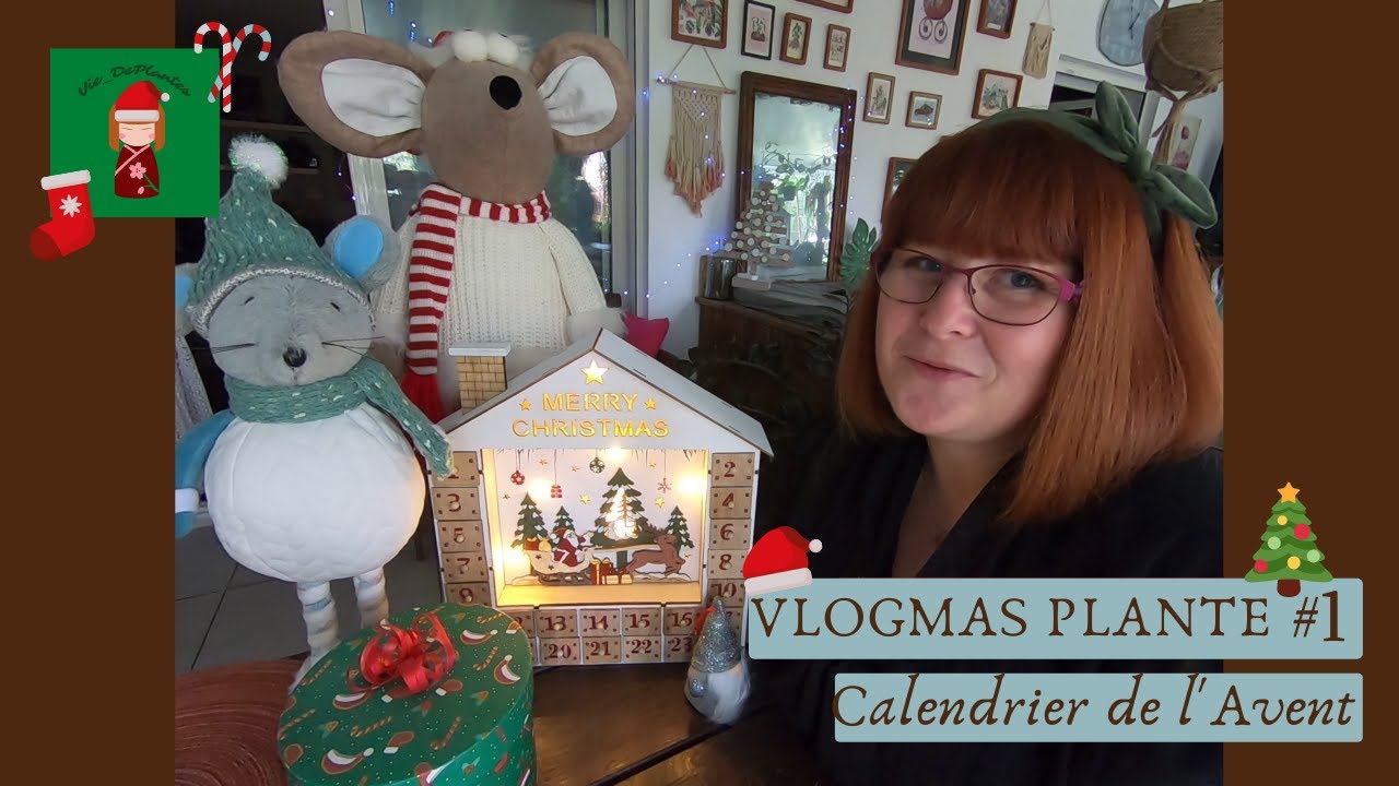 VLOGMAS PLANTE #1🎄Calendrier de l'Avent Spéciale PLANTADDICT🌿 Une plante par jour🎁