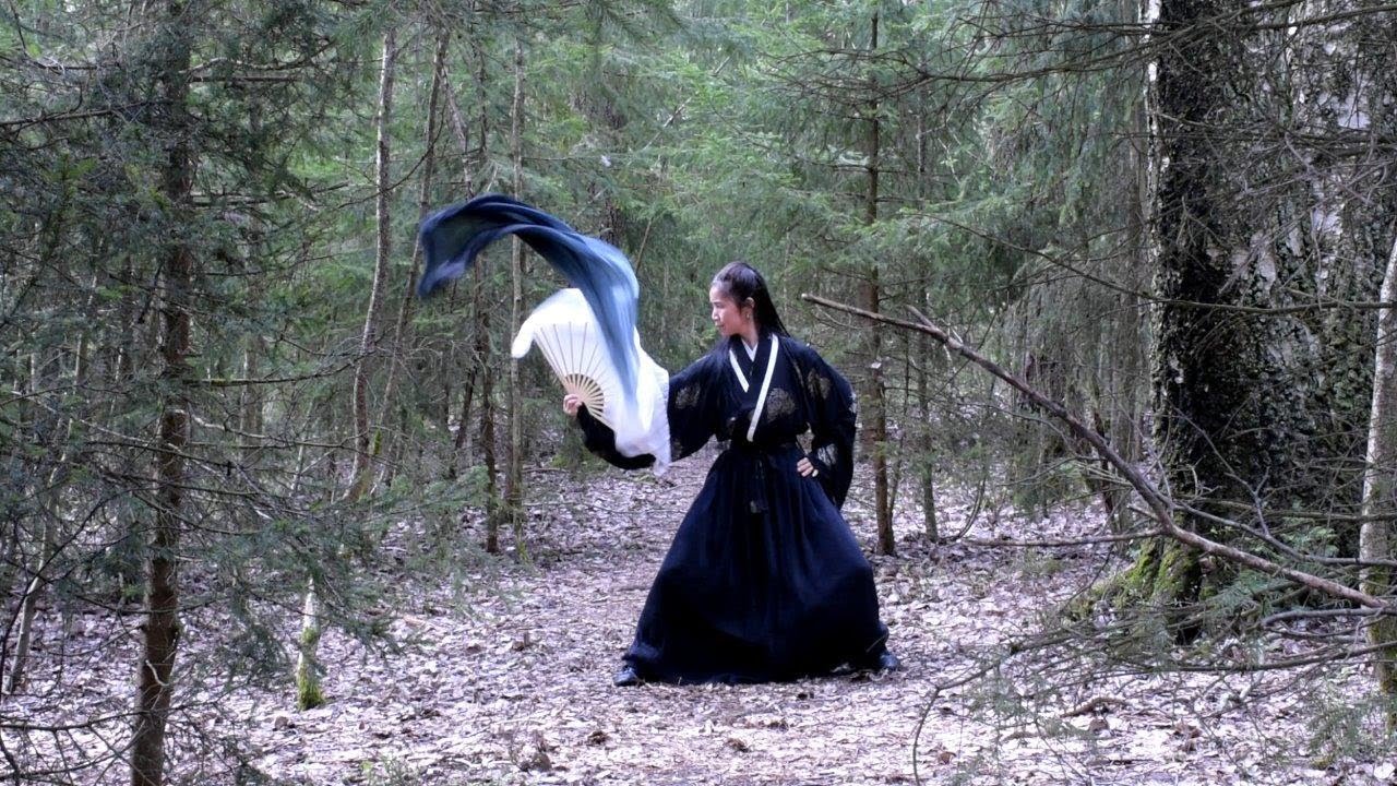 Kung Fu Long Fan 1 (功夫長扇) by Shifu Yan Fei