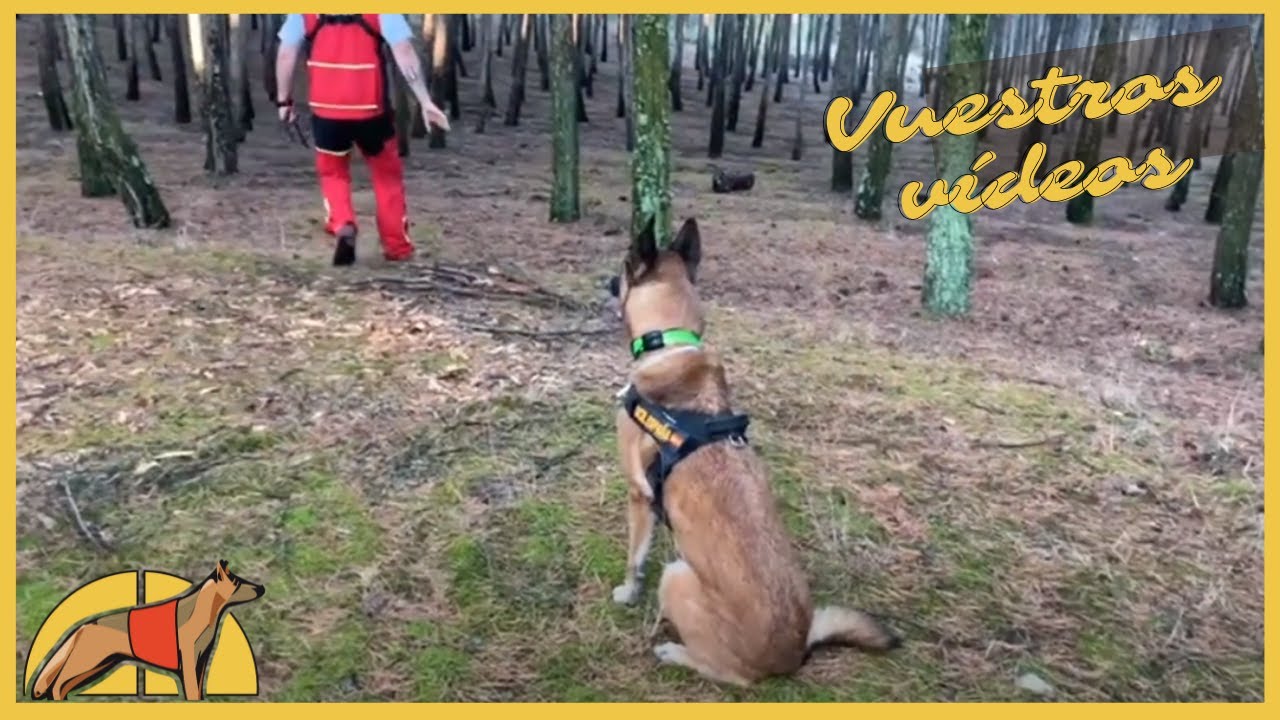 4 ejercicios de iniciación para 🐕‍🦺 de BÚSQUEDA DE PERSONAS
