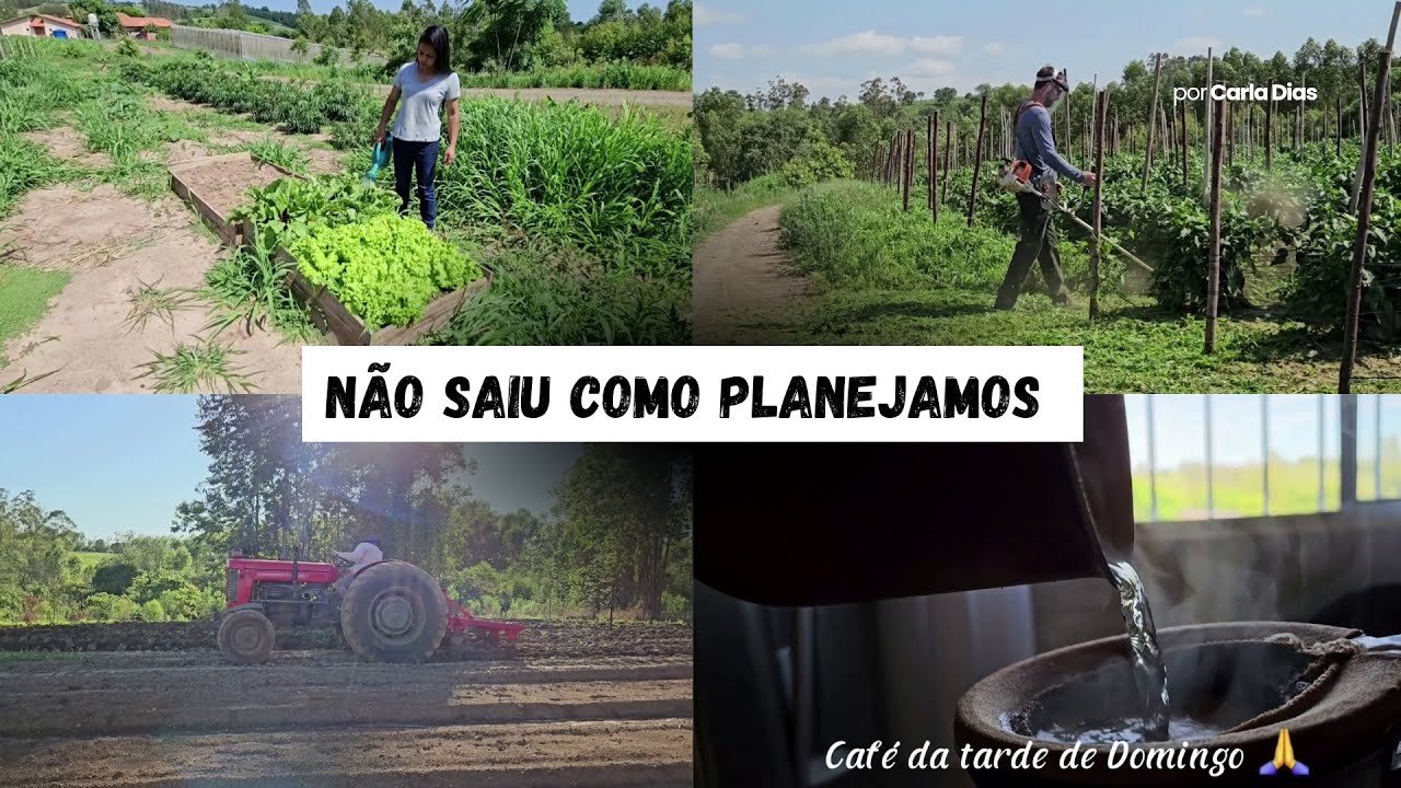 ERA PRA SER MAIS UM DIA NORMAL NO SÍTIO Veja o que ACONTECEU