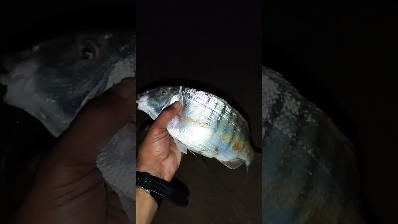 pas de chi chi #casablanca #rabat #agadir #maroc #peche