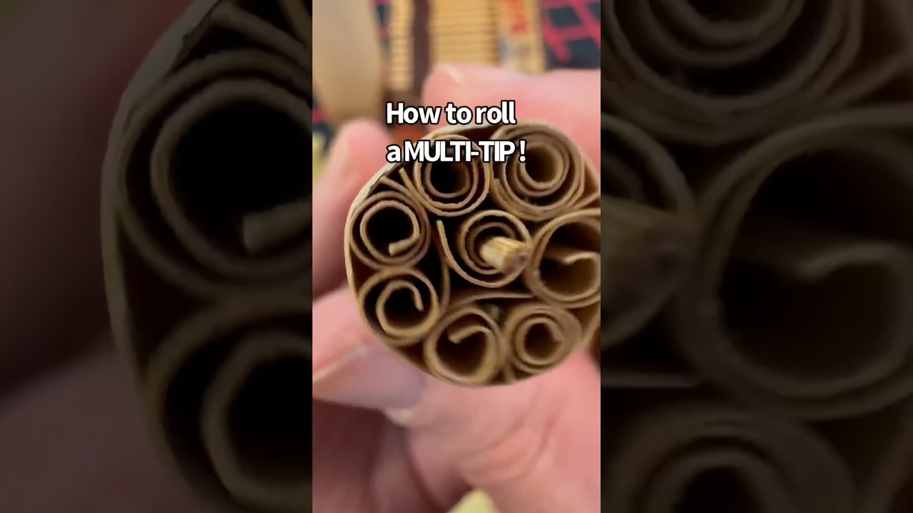 SCOOB STOPPING MULTI-TIP🤯
