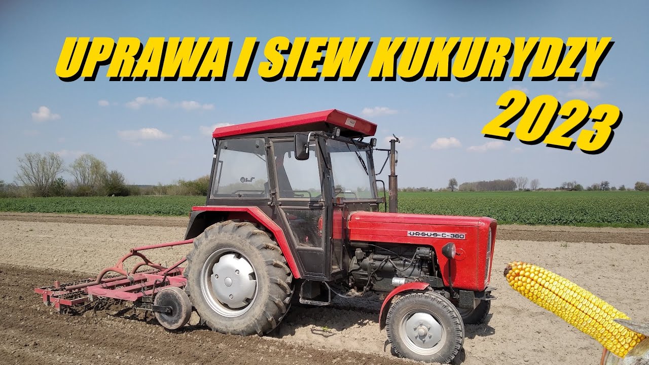 Uprawa i siew kukurydzy 2023 🌽 Ursus c-360 w akcji 💪 Kupiłem mokry mocznik 🤢
