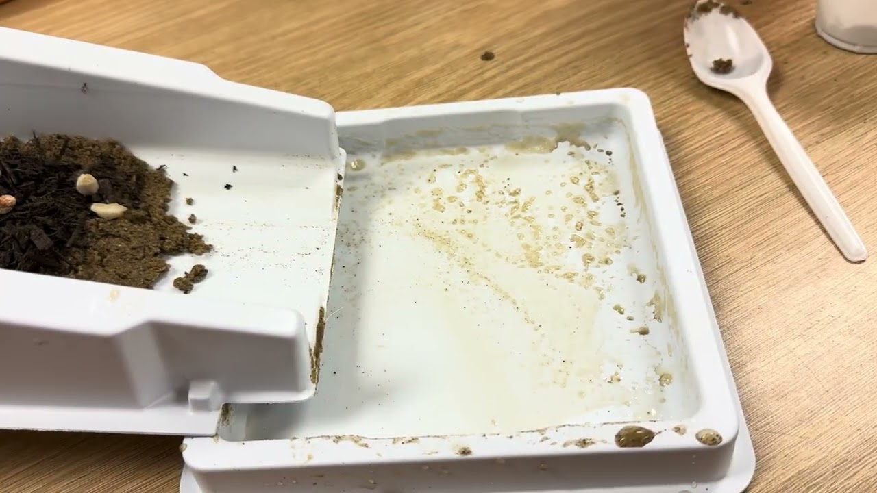 Weathering, Erosion, Deposition Lab option 1