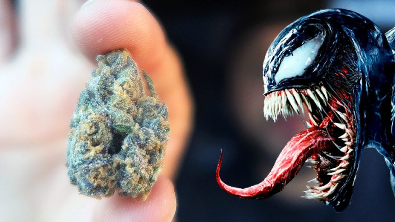 VENOM OG BLUNT SESH!